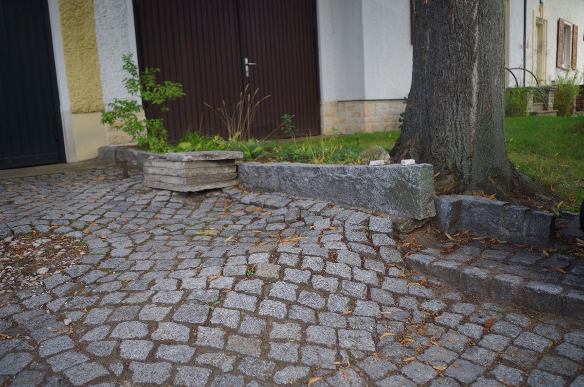 Durch Baumwurzeln angehobene und verschobene Pflasterfläche