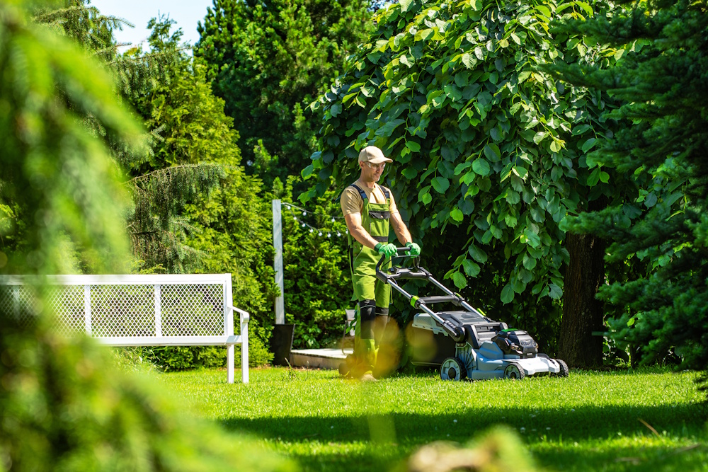 Pflege und Unterhaltung von Grünanlagen